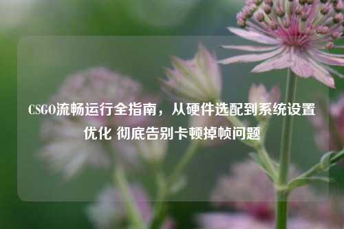 CSGO流畅运行全指南，从硬件选配到系统设置优化 彻底告别卡顿掉帧问题