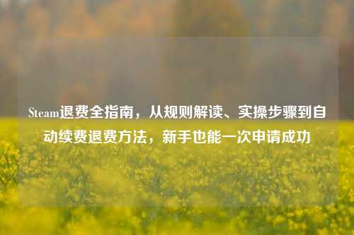 Steam退费全指南,从规则解读、实操步骤到自动续费退费方法,新手也能一次申请成功