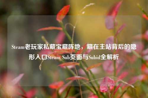 Steam老玩家私藏宝藏阵地,藏在主站背后的隐形入口Steam Sub页面与Subid全解析