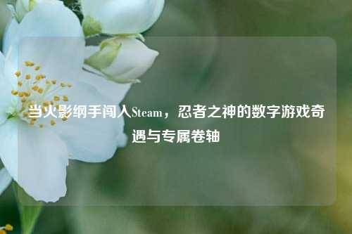 当火影纲手闯入Steam，忍者之神的数字游戏奇遇与专属卷轴