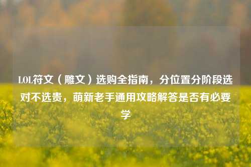LOL符文（雕文）选购全指南，分位置分阶段选对不选贵，萌新老手通用攻略解答是否有必要学
