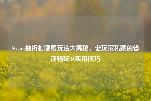 Steam抽折扣隐藏玩法大揭秘,老玩家私藏的省钱畅玩3A实用技巧