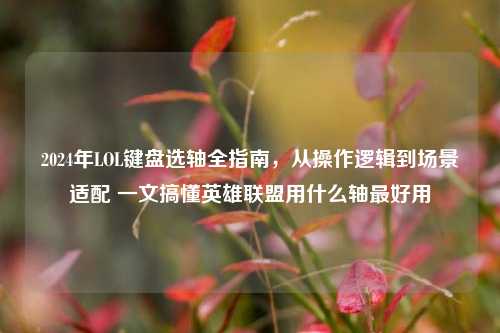 2024年LOL键盘选轴全指南,从操作逻辑到场景适配 一文搞懂英雄联盟用什么轴最好用