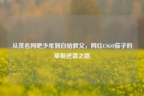 从茂名网吧少年到白给教父，网红CSGO茄子的草根逆袭之路
