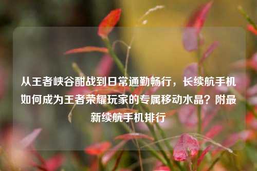 从王者峡谷酣战到日常通勤畅行,长续航手机如何成为王者荣耀玩家的专属移动水晶?附最新续航手机排行
