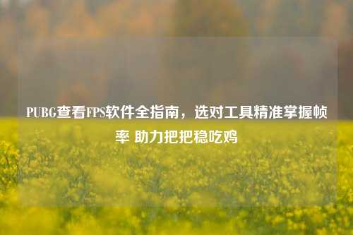 PUBG查看FPS软件全指南,选对工具精准掌握帧率 助力把把稳吃鸡