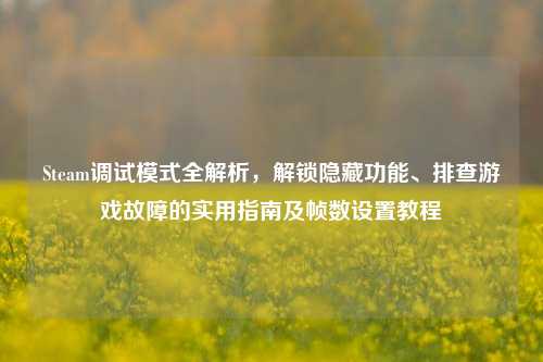 Steam调试模式全解析，解锁隐藏功能、排查游戏故障的实用指南及帧数设置教程