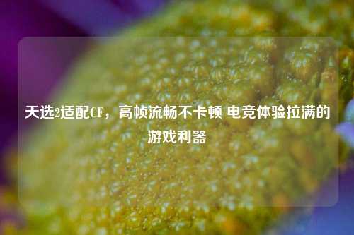 天选2适配CF，高帧流畅不卡顿 电竞体验拉满的游戏利器