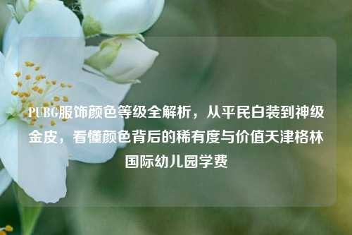 PUBG服饰颜色等级全解析，从平民白装到神级金皮，看懂颜色背后的稀有度与价值天津格林国际幼儿园学费