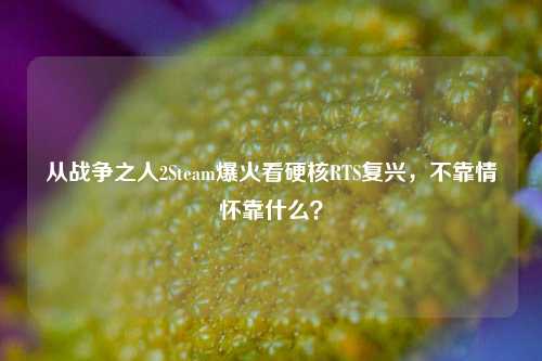 从战争之人2Steam爆火看硬核RTS复兴,不靠情怀靠什么?