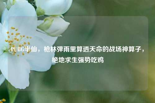 PUBG半仙，枪林弹雨里算透天命的战场神算子，绝地求生强势吃鸡