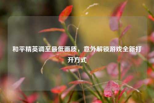 和平精英调至最低画质,意外解锁游戏全新打开方式