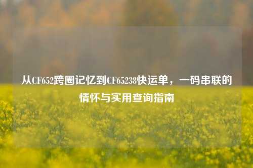 从CF652跨圈记忆到CF65238快运单，一码串联的情怀与实用查询指南