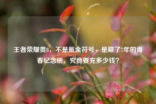 王者荣耀贵8,不是氪金符号,是藏了7年的青春纪念册,究竟要充多少钱?