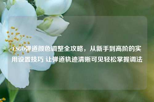 CSGO弹道颜色调整全攻略,从新手到高阶的实用设置技巧 让弹道轨迹清晰可见轻松掌握调法