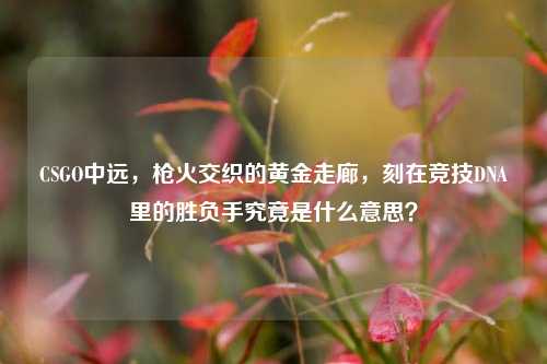 CSGO中远,枪火交织的黄金走廊,刻在竞技DNA里的胜负手究竟是什么意思?