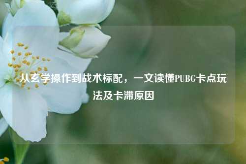从玄学操作到战术标配,一文读懂PUBG卡点玩法及卡滞原因