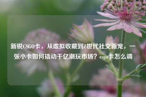 新锐CSGO卡,从虚拟收藏到Z世代社交新宠,一张小卡如何撬动千亿潮玩市场?csgo卡怎么调