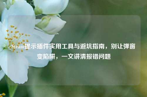 Steam提示插件实用工具与避坑指南，别让弹窗变陷阱，一文讲清报错问题
