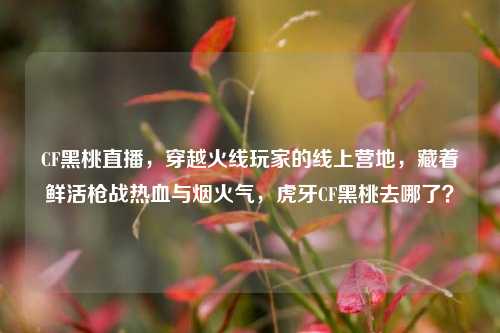 CF黑桃直播,穿越火线玩家的线上营地,藏着鲜活枪战热血与烟火气,虎牙CF黑桃去哪了?