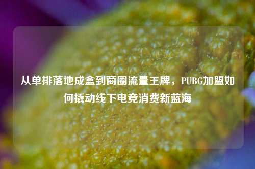 从单排落地成盒到商圈流量王牌,PUBG加盟如何撬动线下电竞消费新蓝海