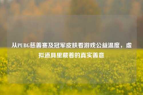 从PUBG慈善赛及冠军皮肤看游戏公益温度,虚拟道具里藏着的真实善意
