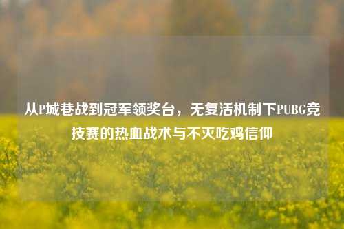 从P城巷战到冠军领奖台,无复活机制下PUBG竞技赛的热血战术与不灭吃鸡信仰