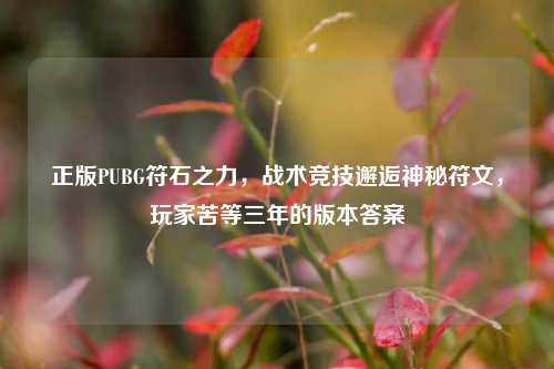 正版PUBG符石之力，战术竞技邂逅神秘符文，玩家苦等三年的版本答案