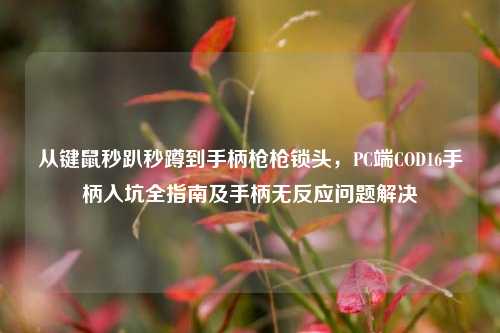 从键鼠秒趴秒蹲到手柄枪枪锁头，PC端COD16手柄入坑全指南及手柄无反应问题解决