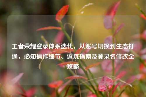 王者荣耀登录体系迭代,从账号切换到生态打通,必知操作细节、避坑指南及登录名修改全攻略