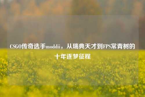 CSGO传奇选手moddii，从瑞典天才到FPS常青树的十年逐梦征程