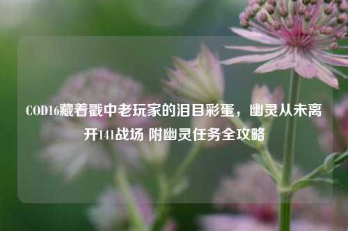 COD16藏着戳中老玩家的泪目彩蛋，幽灵从未离开141战场 附幽灵任务全攻略