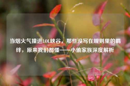 当烟火气撞进LOL峡谷,那些没写在规则里的羁绊,原来我们都懂——小偷家族深度解析