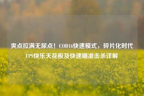 爽点拉满无尿点!COD16快速模式,碎片化时代FPS快乐天花板及快速瞄准击杀详解