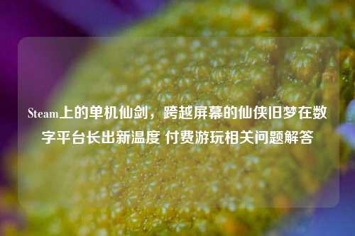 Steam上的单机仙剑，跨越屏幕的仙侠旧梦在数字平台长出新温度 付费游玩相关问题解答