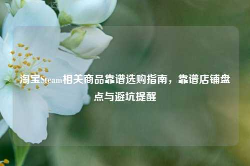 淘宝Steam相关商品靠谱选购指南,靠谱店铺盘点与避坑提醒