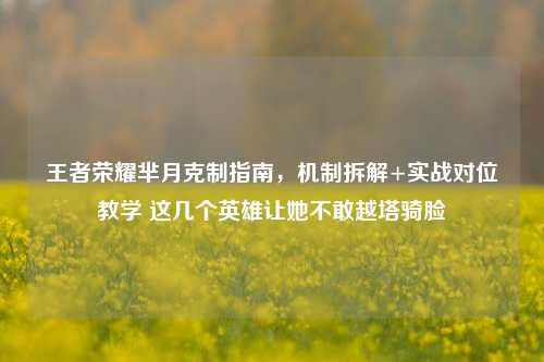 王者荣耀芈月克制指南，机制拆解+实战对位教学 这几个英雄让她不敢越塔骑脸