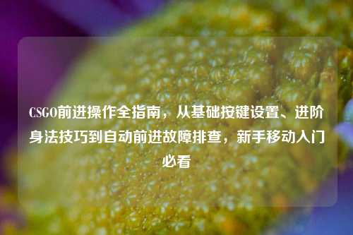 CSGO前进操作全指南,从基础按键设置、进阶身法技巧到自动前进故障排查,新手移动入门必看
