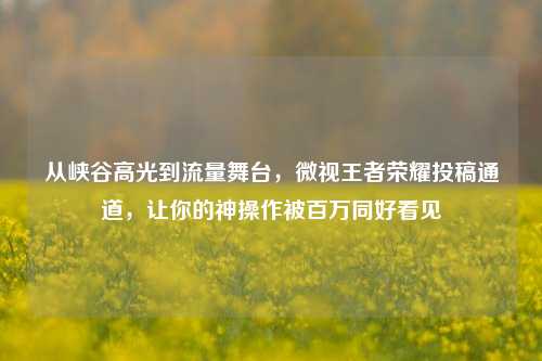 从峡谷高光到流量舞台，微视王者荣耀投稿通道，让你的神操作被百万同好看见