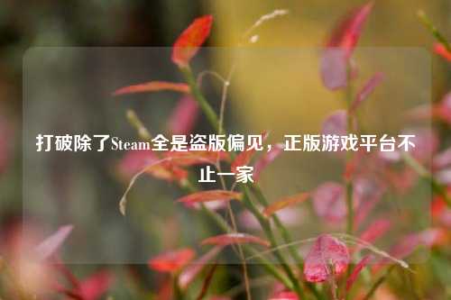 打破除了Steam全是盗版偏见，正版游戏平台不止一家