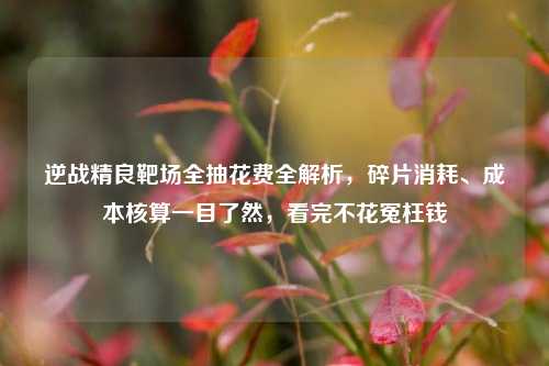 逆战精良靶场全抽花费全解析，碎片消耗、成本核算一目了然，看完不花冤枉钱
