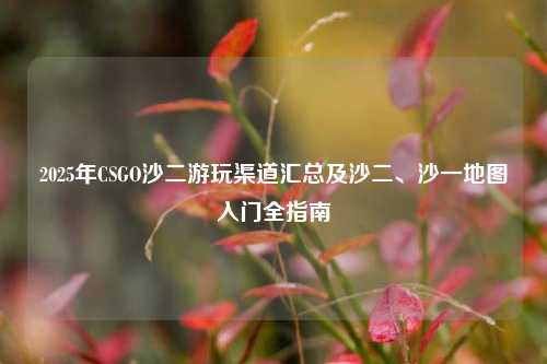 2025年CSGO沙二游玩渠道汇总及沙二、沙一地图入门全指南