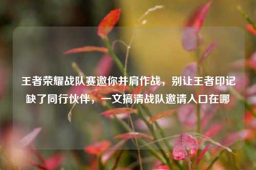 王者荣耀战队赛邀你并肩作战,别让王者印记缺了同行伙伴,一文搞清战队邀请入口在哪