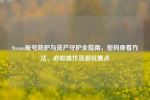 Steam账号防护与资产守护全指南,密码查看方法、必知操作及避坑要点