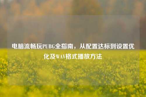 电脑流畅玩PUBG全指南,从配置达标到设置优化及WAV格式播放方法