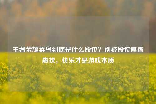 王者荣耀菜鸟到底是什么段位?别被段位焦虑裹挟,快乐才是游戏本质
