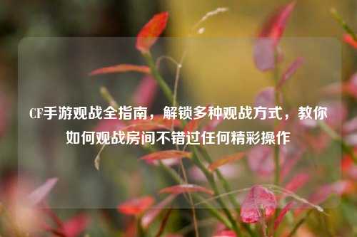 CF手游观战全指南,解锁多种观战方式,教你如何观战房间不错过任何精彩操作