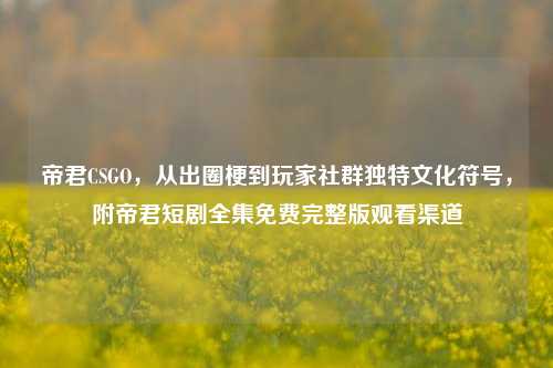 帝君CSGO,从出圈梗到玩家社群独特文化符号,附帝君短剧全集免费完整版观看渠道