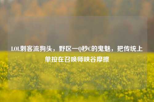 LOL刺客流狗头,野区一Q秒C的鬼魅,把传统上单按在召唤师峡谷摩擦