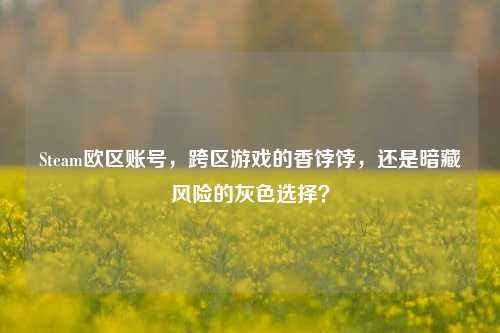 Steam欧区账号,跨区游戏的香饽饽,还是暗藏风险的灰色选择?